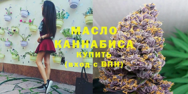 сатива Вязьма