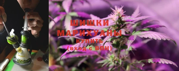 ГАЛЛЮЦИНОГЕННЫЕ ГРИБЫ Вязники