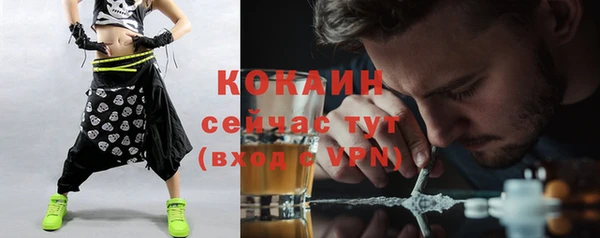 сатива Вязьма