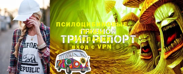 ГАЛЛЮЦИНОГЕННЫЕ ГРИБЫ Вязники