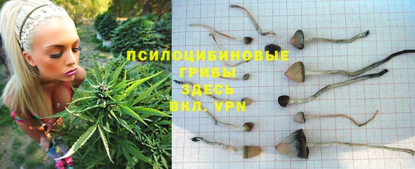 сатива Вязьма