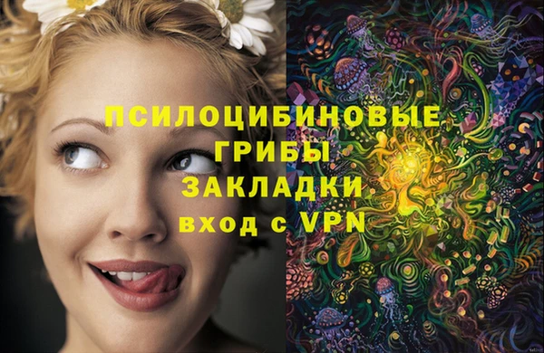 сатива Вязьма