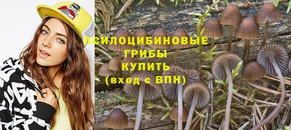 сатива Вязьма