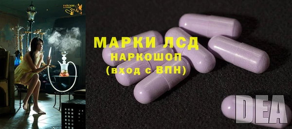ГАЛЛЮЦИНОГЕННЫЕ ГРИБЫ Вязники