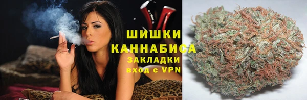 ГАЛЛЮЦИНОГЕННЫЕ ГРИБЫ Вязники